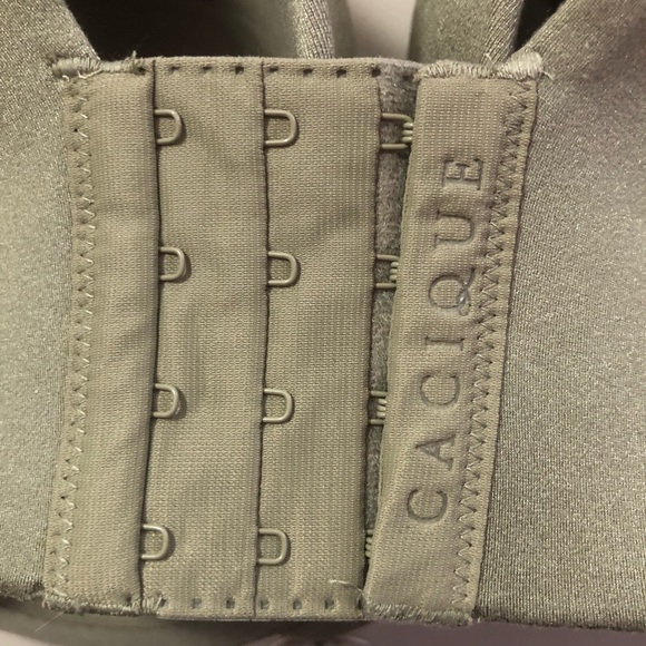 NWOT Cacique Balconette Soft Sage Bra, 50DD - Picture 3 of 4